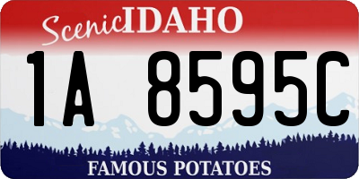 ID license plate 1A8595C
