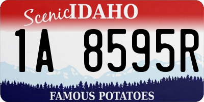 ID license plate 1A8595R