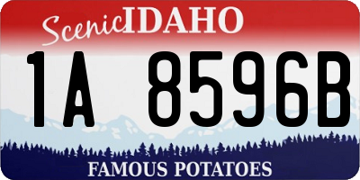 ID license plate 1A8596B