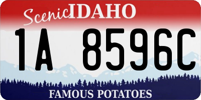 ID license plate 1A8596C