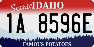 ID license plate 1A8596E