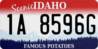 ID license plate 1A8596G