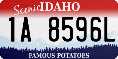 ID license plate 1A8596L