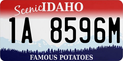 ID license plate 1A8596M