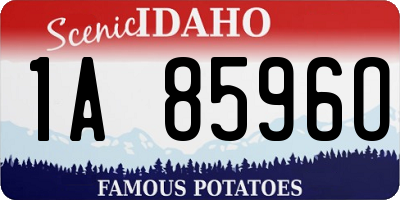 ID license plate 1A8596O