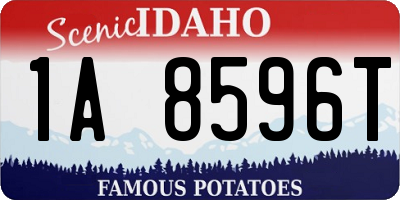 ID license plate 1A8596T