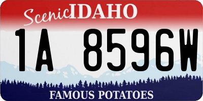 ID license plate 1A8596W