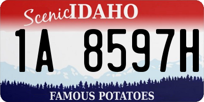 ID license plate 1A8597H