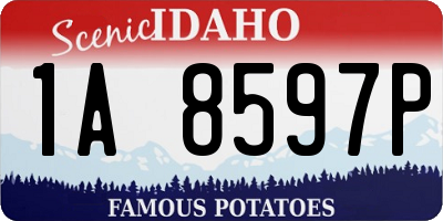 ID license plate 1A8597P