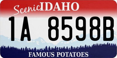 ID license plate 1A8598B