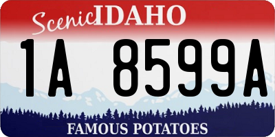 ID license plate 1A8599A