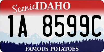 ID license plate 1A8599C