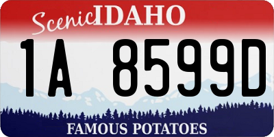 ID license plate 1A8599D
