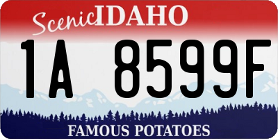 ID license plate 1A8599F