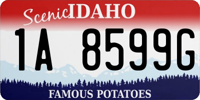 ID license plate 1A8599G