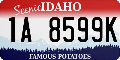 ID license plate 1A8599K