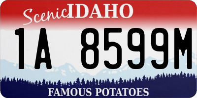 ID license plate 1A8599M
