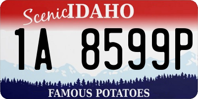 ID license plate 1A8599P