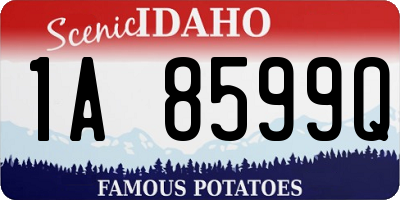 ID license plate 1A8599Q