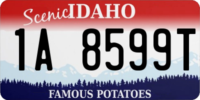 ID license plate 1A8599T