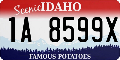 ID license plate 1A8599X
