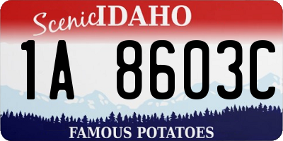 ID license plate 1A8603C
