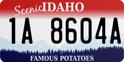 ID license plate 1A8604A