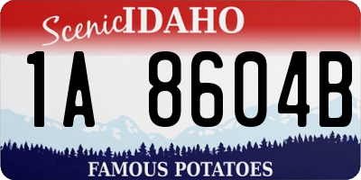 ID license plate 1A8604B