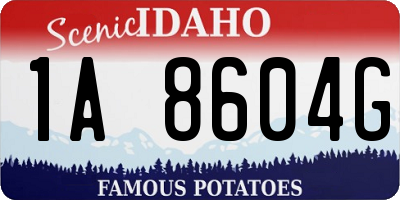ID license plate 1A8604G
