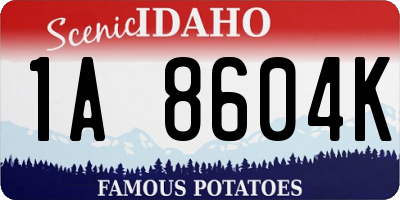 ID license plate 1A8604K