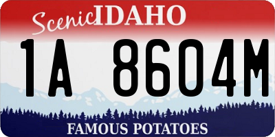 ID license plate 1A8604M