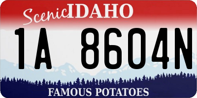 ID license plate 1A8604N