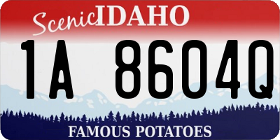 ID license plate 1A8604Q