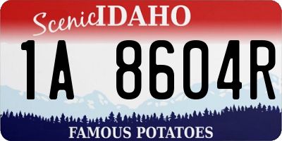 ID license plate 1A8604R