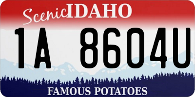 ID license plate 1A8604U