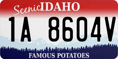 ID license plate 1A8604V