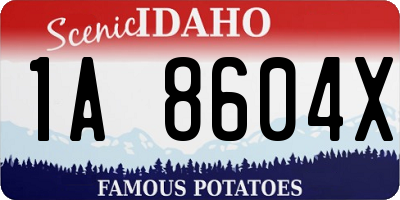 ID license plate 1A8604X