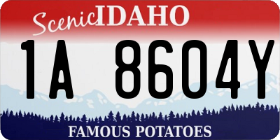ID license plate 1A8604Y