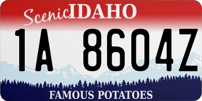 ID license plate 1A8604Z