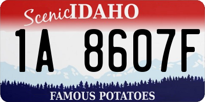 ID license plate 1A8607F