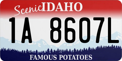 ID license plate 1A8607L