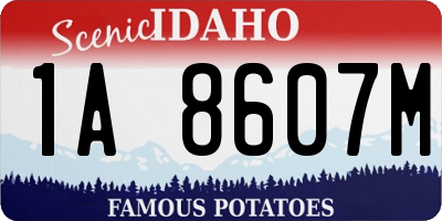 ID license plate 1A8607M