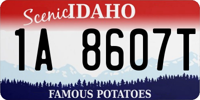 ID license plate 1A8607T