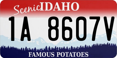 ID license plate 1A8607V