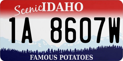 ID license plate 1A8607W