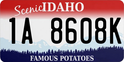 ID license plate 1A8608K