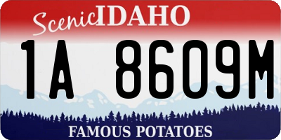 ID license plate 1A8609M