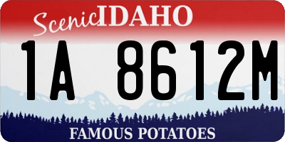 ID license plate 1A8612M