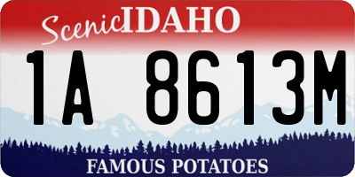 ID license plate 1A8613M
