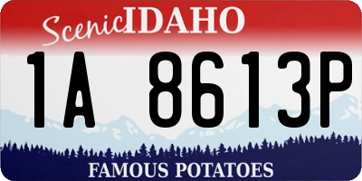 ID license plate 1A8613P